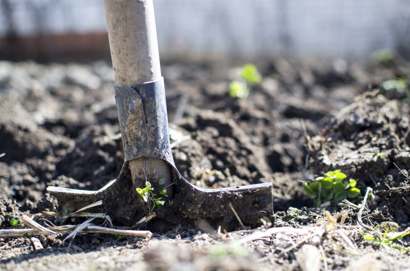 jardinerie-LA TRINITE-min_equipment-2047314