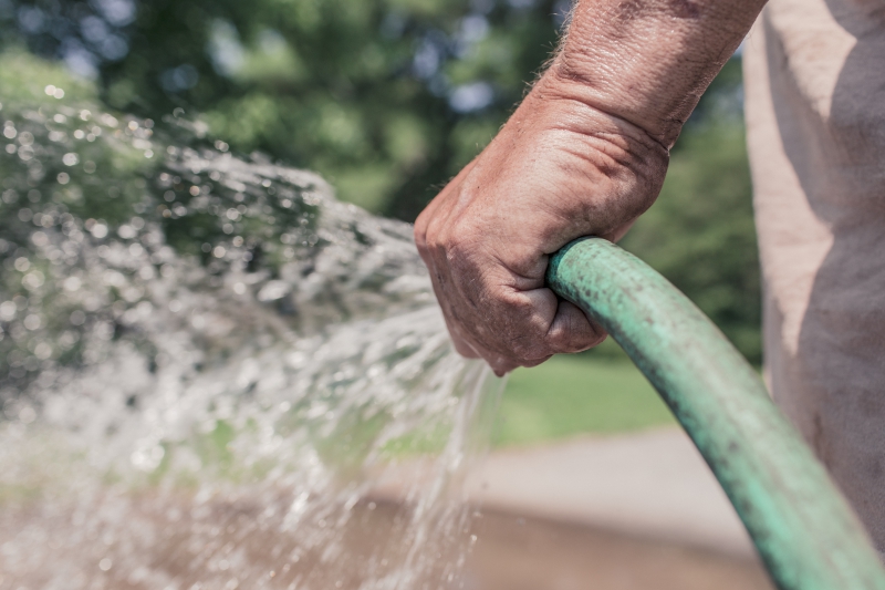 jardinerie-LA TRINITE-min_garden-hose-413684